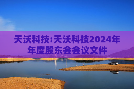 天沃科技:天沃科技2024年年度股东会会议文件