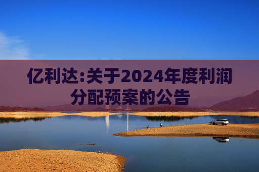 亿利达:关于2024年度利润分配预案的公告  第1张
