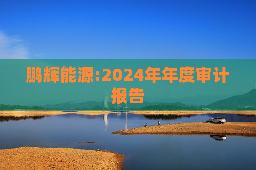 鹏辉能源:2024年年度审计报告
