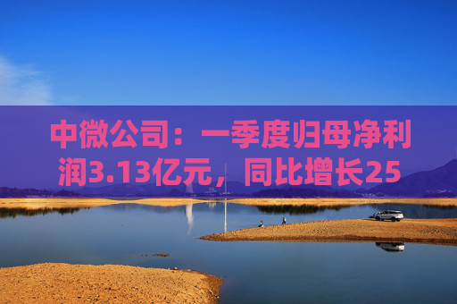 中微公司:一季度归母净利润3.13亿元,同比增长25.67%