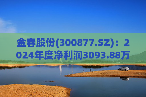 金春股份(300877.SZ)：2024年度净利润3093.88万元 拟10派1元