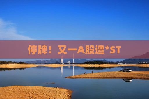 停牌！又一A股遭*ST