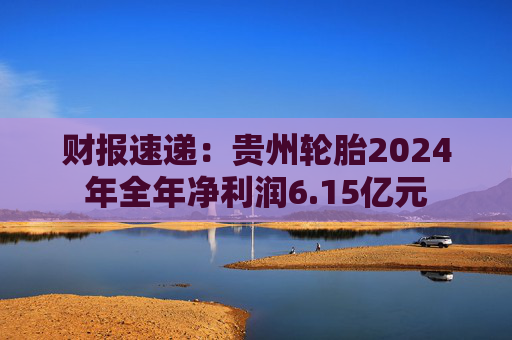 财报速递：贵州轮胎2024年全年净利润6.15亿元