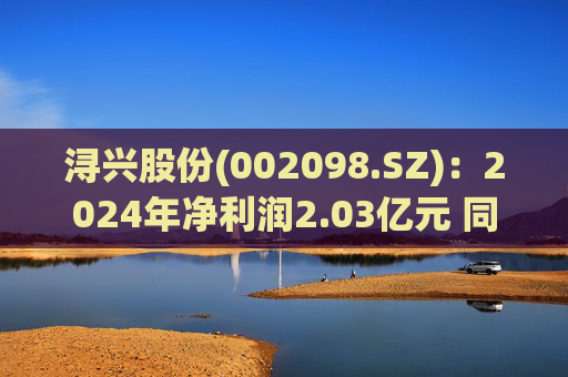 浔兴股份(002098.SZ)：2024年净利润2.03亿元 同比增长64.35%