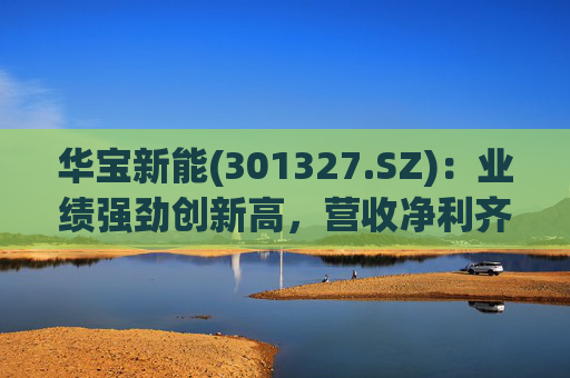 华宝新能(301327.SZ)：业绩强劲创新高，营收净利齐突破