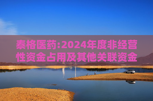 泰格医药:2024年度非经营性资金占用及其他关联资金往来情况的专项报告