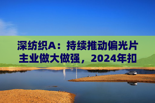 深纺织A:持续推动偏光片主业做大做强,2024年扣非归母净利润增长23.58%