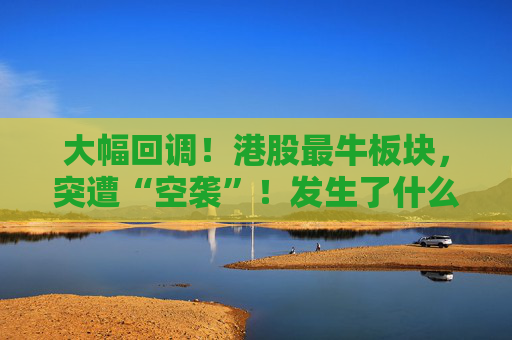 大幅回调！港股最牛板块，突遭“空袭”！发生了什么？