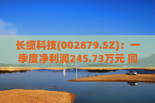 长缆科技(002879.SZ):一季度净利润245.73万元 同比下降84.88%