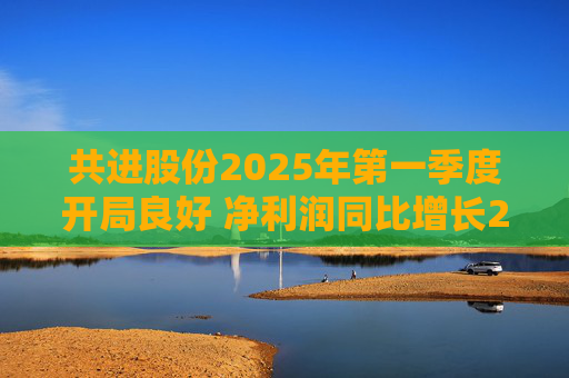 共进股份2025年第一季度开局良好 净利润同比增长267.63%