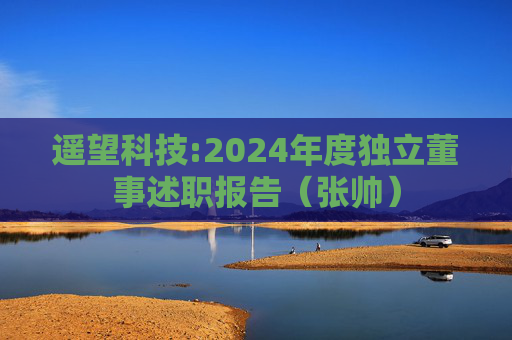 遥望科技:2024年度独立董事述职报告（张帅）