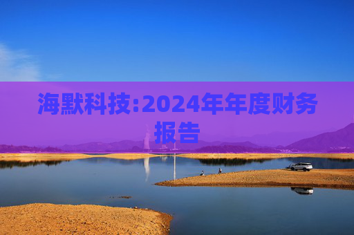 海默科技:2024年年度财务报告