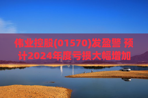 伟业控股(01570)发盈警 预计2024年度亏损大幅增加 第1张 伟业控股(01570)发盈警 预计2024年度亏损大幅增加 第1张