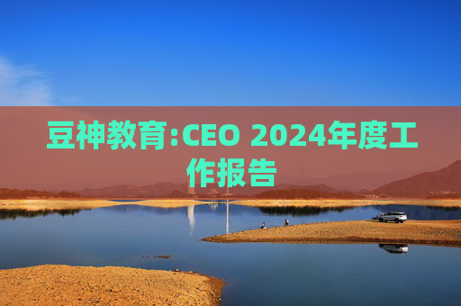 豆神教育:CEO 2024年度工作报告  第1张