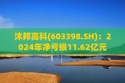 沐邦高科(603398.SH)：2024年净亏损11.62亿元