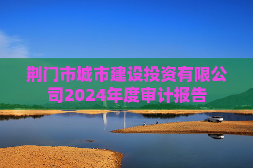 荆门市城市建设投资有限公司2024年度审计报告
