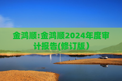 金鸿顺:金鸿顺2024年度审计报告(修订版)
