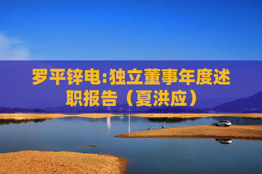 罗平锌电:独立董事年度述职报告（夏洪应）