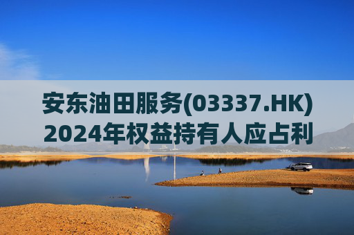 安东油田服务(03337.HK)2024年权益持有人应占利润2.43亿元 同比增长约23.5%