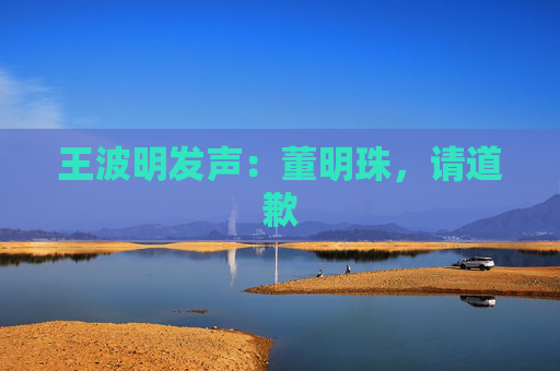王波明发声：董明珠，请道歉