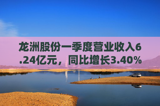 龙洲股份一季度营业收入6.24亿元，同比增长3.40%