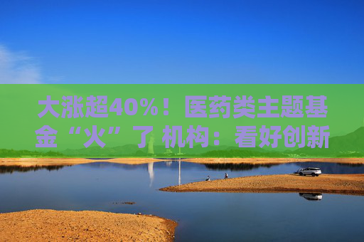大涨超40%!医药类主题基金“火”了 机构:看好创新药投资机会