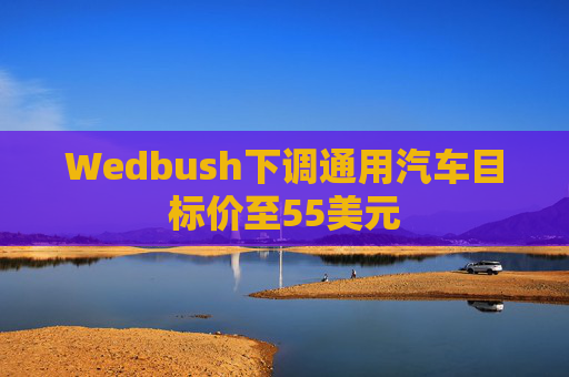 Wedbush下调通用汽车目标价至55美元