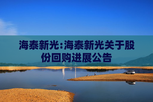 海泰新光:海泰新光关于股份回购进展公告  第1张