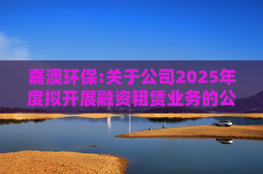 嘉澳环保:关于公司2025年度拟开展融资租赁业务的公告
