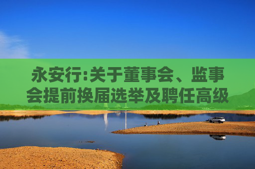 永安行:关于董事会、监事会提前换届选举及聘任高级管理人员的公告