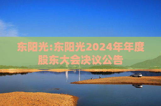 东阳光:东阳光2024年年度股东大会决议公告  第1张