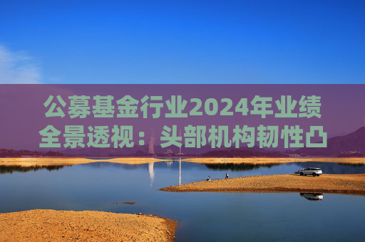 公募基金行业2024年业绩全景透视：头部机构韧性凸显 中小公司差异化突围