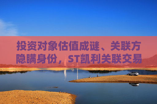 投资对象估值成谜、关联方隐瞒身份，ST凯利关联交易还有哪些“黑洞”？  第1张
