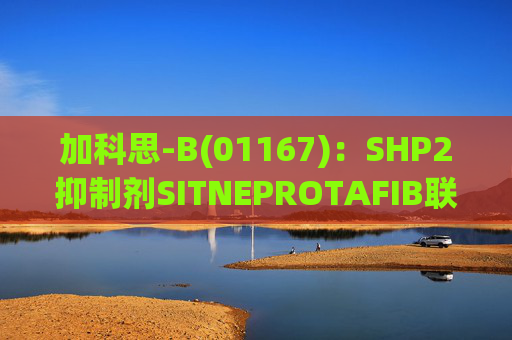 加科思-B(01167)：SHP2抑制剂SITNEPROTAFIB联用研究数据发表于学术期刊