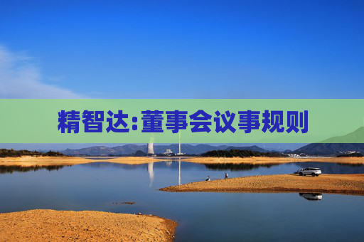 精智达:董事会议事规则
