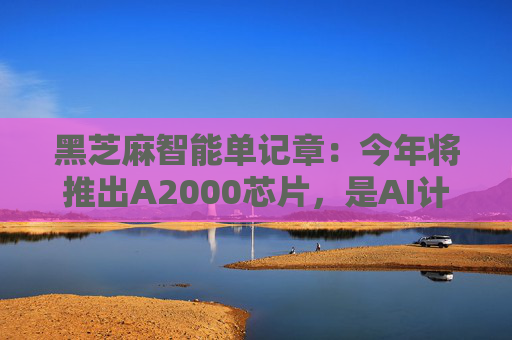 黑芝麻智能单记章:今年将推出A2000芯片,是AI计算效率的重大突破