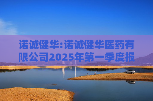 诺诚健华:诺诚健华医药有限公司2025年第一季度报告  第1张