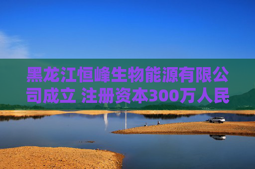 黑龙江恒峰生物能源有限公司成立 注册资本300万人民币