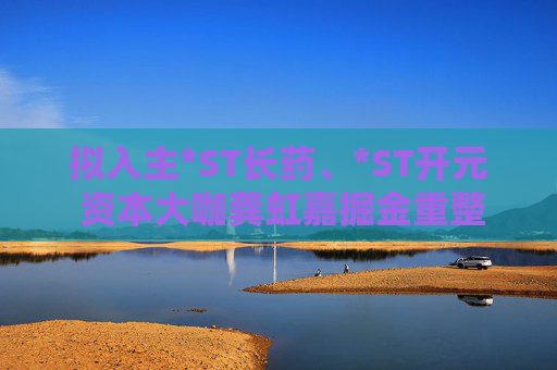 拟入主*ST长药、*ST开元 资本大咖龚虹嘉掘金重整市场
