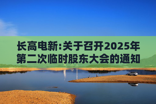 长高电新:关于召开2025年第二次临时股东大会的通知