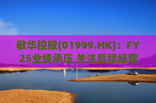 敏华控股(01999.HK)：FY25业绩承压 关注后续经营改善