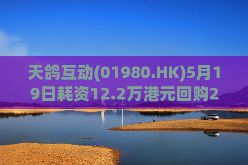 天鸽互动(01980.HK)5月19日耗资12.2万港元回购20万股