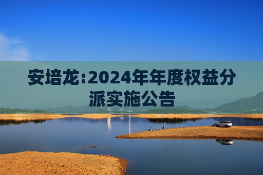 安培龙:2024年年度权益分派实施公告