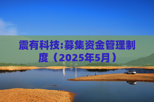 震有科技:募集资金管理制度（2025年5月）
