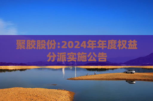 聚胶股份:2024年年度权益分派实施公告