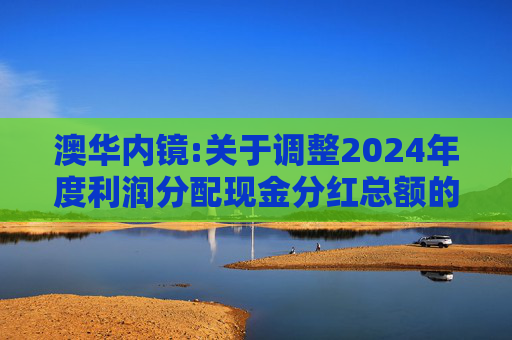 澳华内镜:关于调整2024年度利润分配现金分红总额的公告