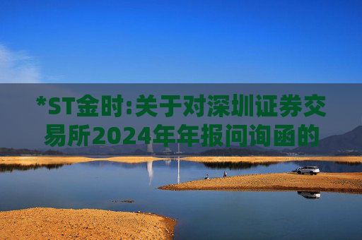 *ST金时:关于对深圳证券交易所2024年年报问询函的回复