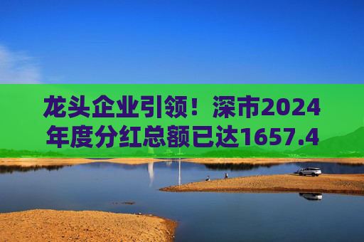 龙头企业引领!深市2024年度分红总额已达1657.47亿元