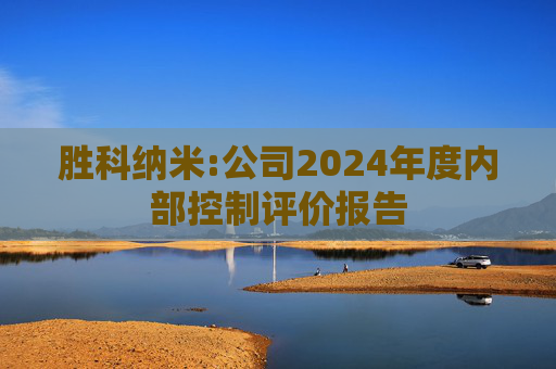 胜科纳米:公司2024年度内部控制评价报告