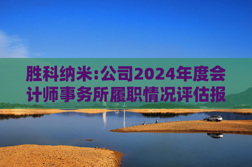 胜科纳米:公司2024年度会计师事务所履职情况评估报告